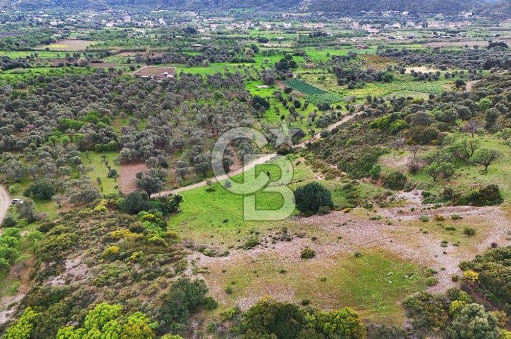 Datça Karaköy'de 2.079 m² Tarl