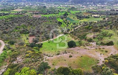 Datça Karaköy'de 2.079 m² Tarl