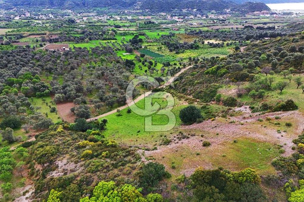 Datça Karaköy'de 2.079 m² Tarl