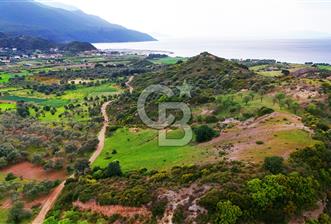 Datça Karaköy'de 2.079 m² Tarl - 2 - 341837