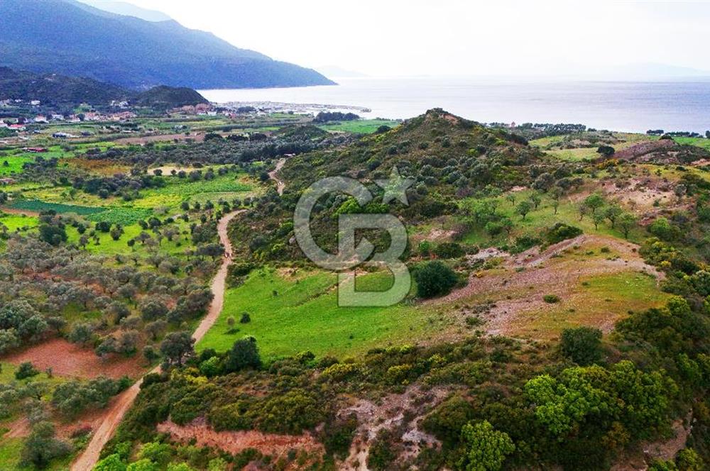 Datça Karaköy'de 2.079 m² Tarl