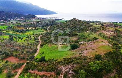 Datça Karaköy'de 2.079 m² Tarl