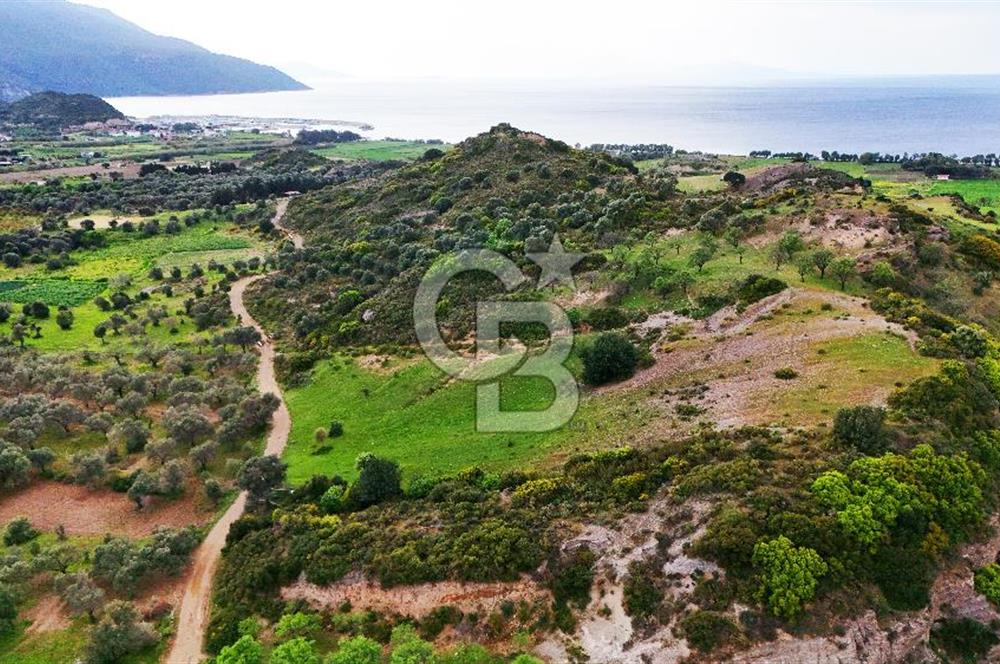 Datça Karaköy'de 2.079 m² Tarl