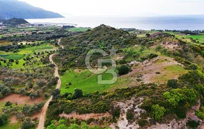 Datça Karaköy'de 2.079 m² Tarl