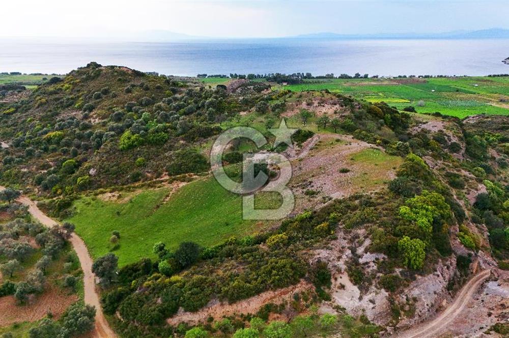 Datça Karaköy'de 2.079 m² Tarl