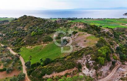 Datça Karaköy'de 2.079 m² Tarl