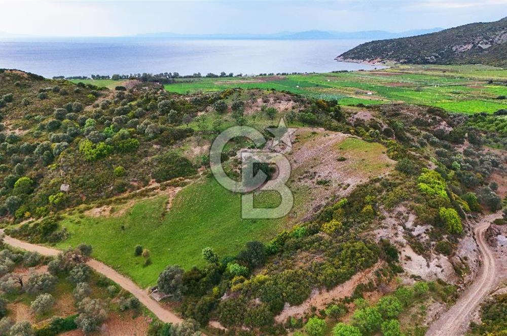 Datça Karaköy'de 2.079 m² Tarl