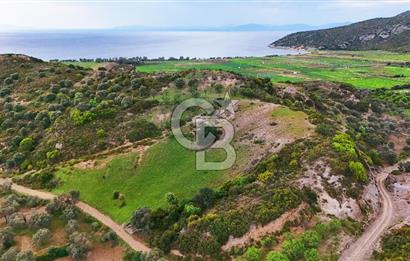 Datça Karaköy'de 2.079 m² Tarl