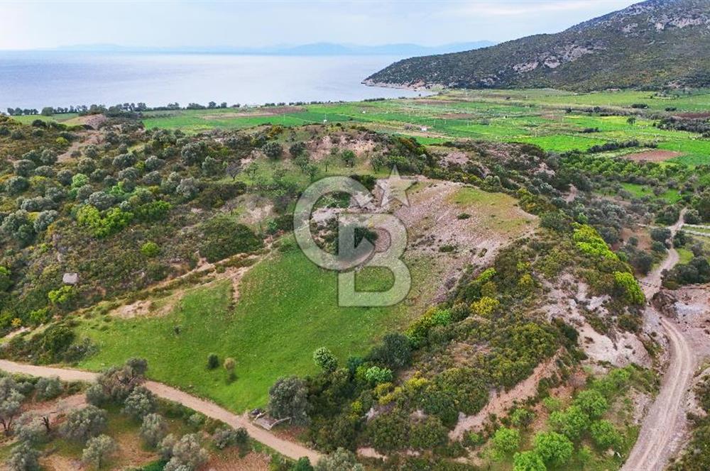 Datça Karaköy'de 2.079 m² Tarl