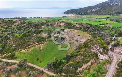 Datça Karaköy'de 2.079 m² Tarl