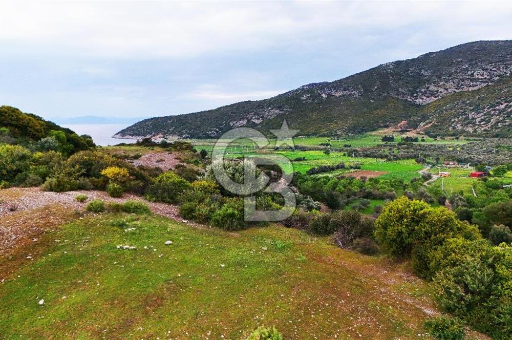 Datça Karaköy'de 2.079 m² Tarl