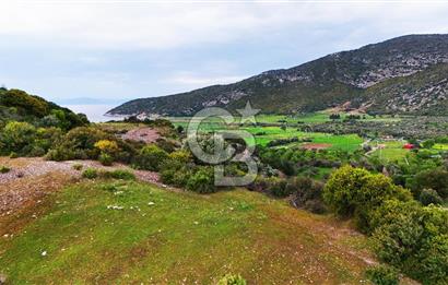 Datça Karaköy'de 2.079 m² Tarl