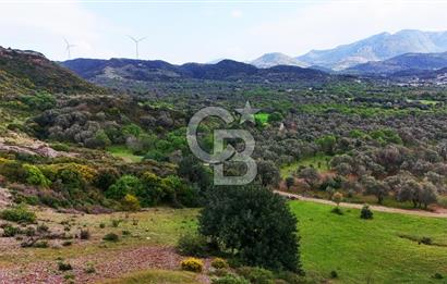 Datça Karaköy'de 2.079 m² Tarl