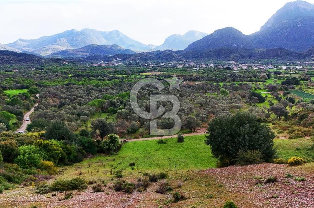 Datça Karaköy'de 2.079 m² Tarl