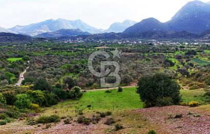 Datça Karaköy'de 2.079 m² Tarl