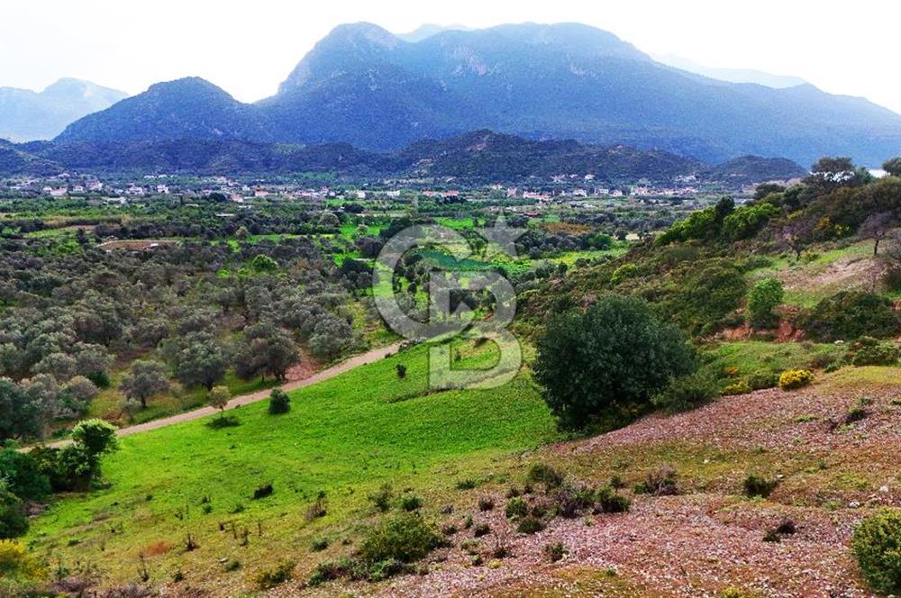 Datça Karaköy'de 2.079 m² Tarl