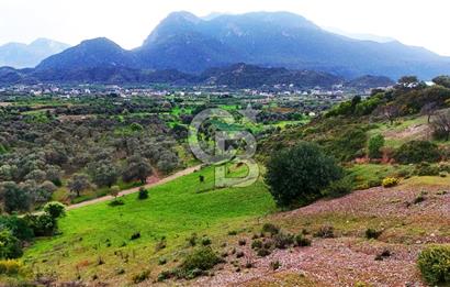 Datça Karaköy'de 2.079 m² Tarl