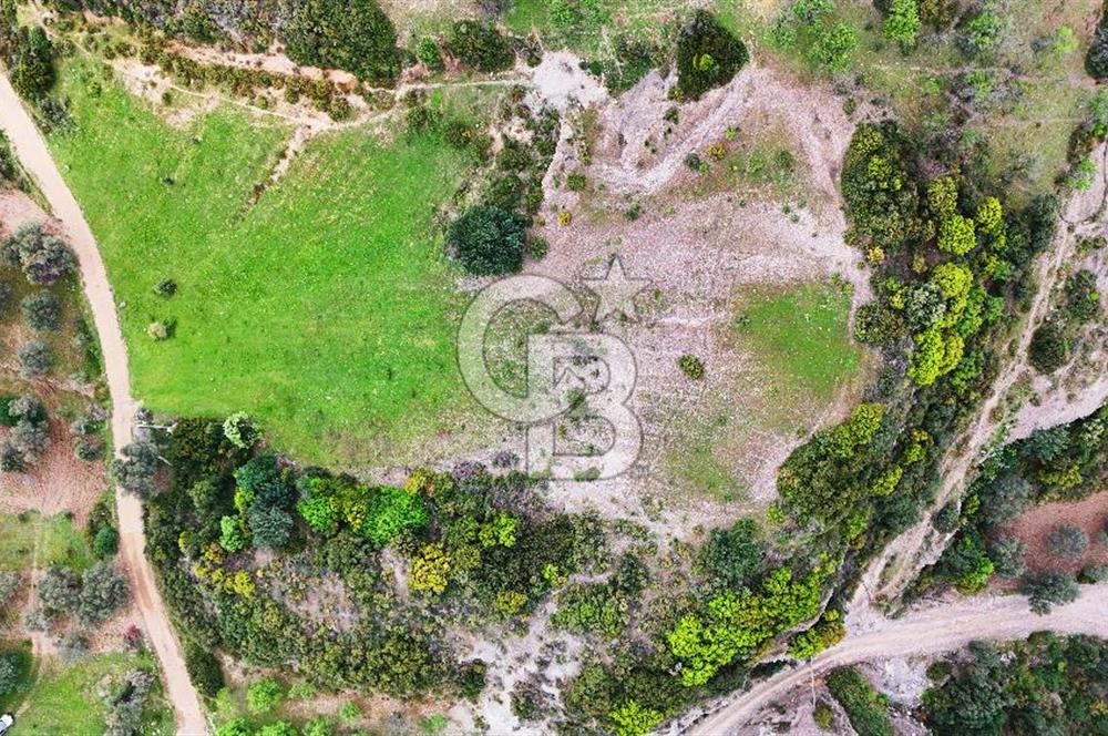 Datça Karaköy'de 2.079 m² Tarl