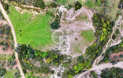 Datça Karaköy'de 2.079 m² Tarl