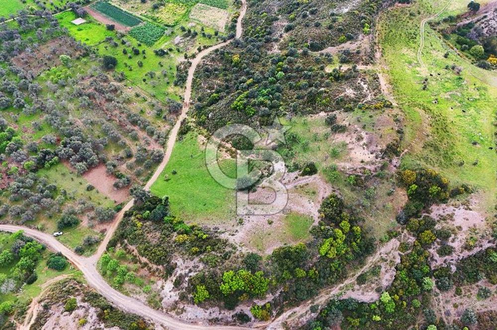 Datça Karaköy'de 2.079 m² Tarl