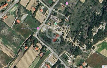 ÇANAKKALE BOZCAADA SULUBAHÇE KOYUNA YAKIN SATILIK TARLA