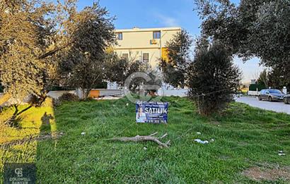 MENDERES COLDWELL BANKER POYRAZ'DAN VİLLA İMARLI ARSA