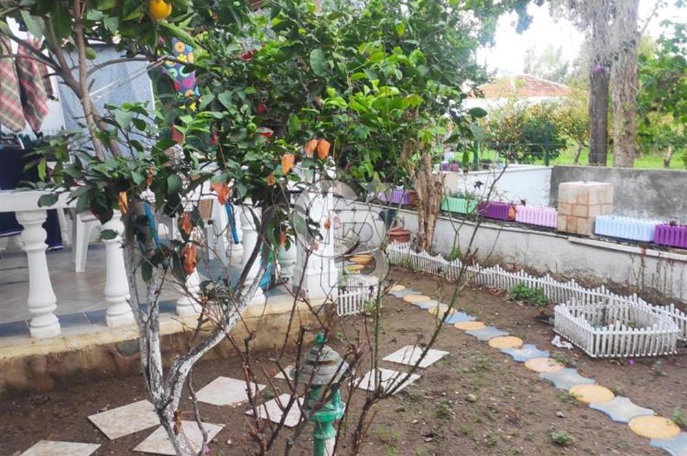 Yalıkavak Merkez Sahile 150m 5+1 Bahçeli Müstakil Villa