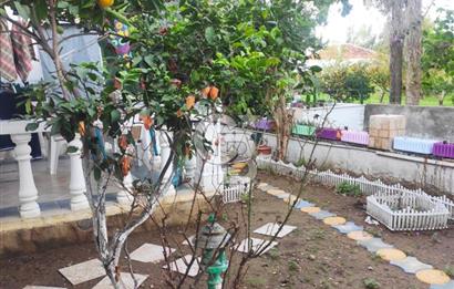 Yalıkavak Merkez Sahile 150m 5+1 Bahçeli Müstakil Villa