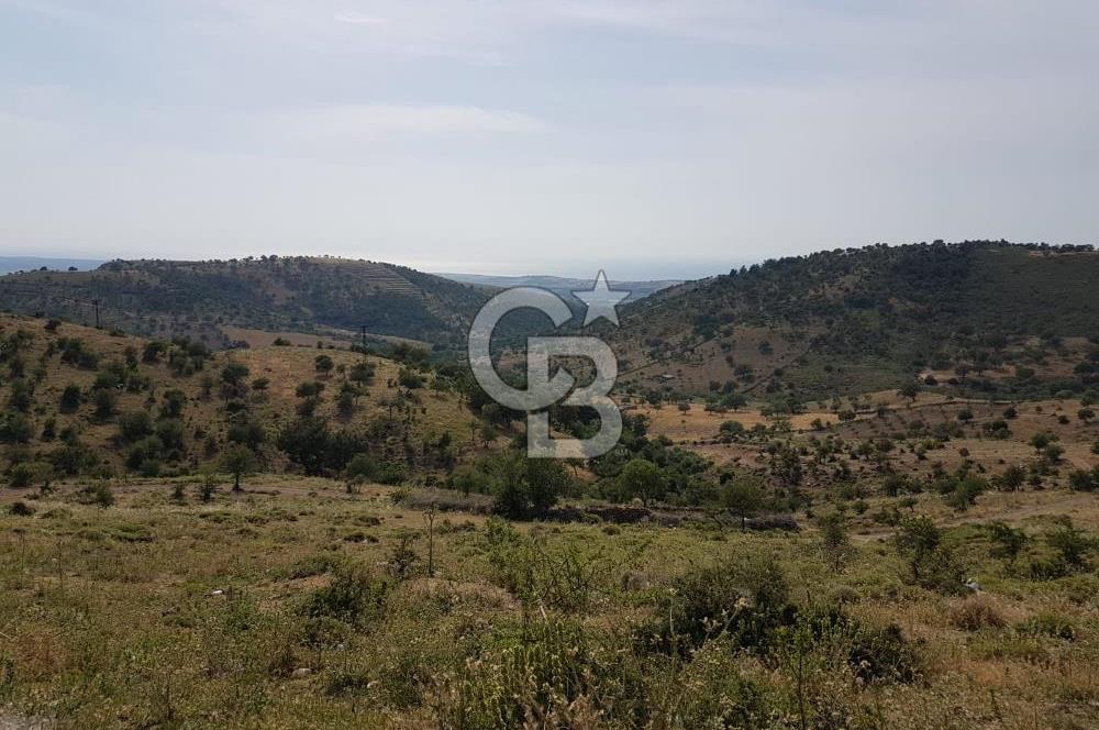 ÇANAKKALE AYVACIK NALDÖKENDE TURİZM İMARLI ARSA 17.702 M2