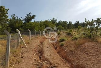 ÇANAKKALE AYVACIK NALDÖKENDE TURİZM İMARLI ARSA 17.702 M2 - 11 - 341762