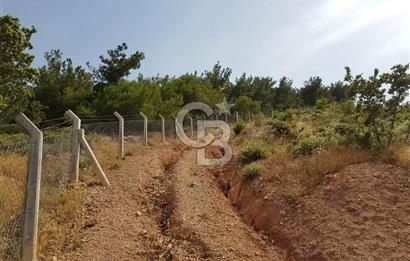 ÇANAKKALE AYVACIK NALDÖKENDE TURİZM İMARLI ARSA 17.702 M2