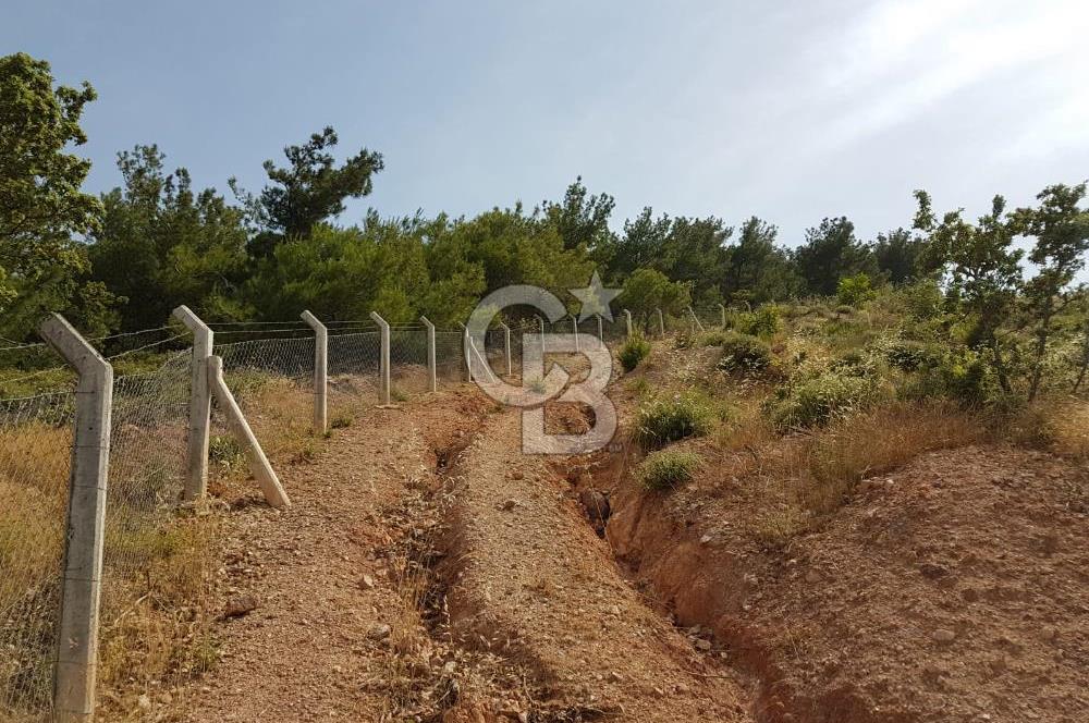 ÇANAKKALE AYVACIK NALDÖKENDE TURİZM İMARLI ARSA 17.702 M2