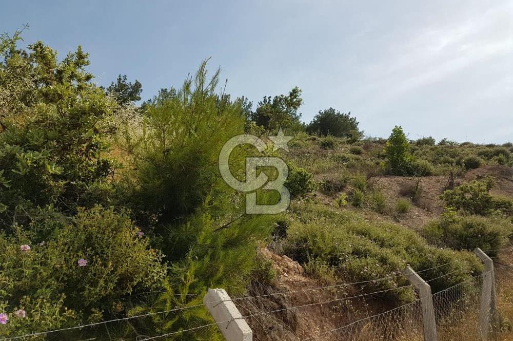 ÇANAKKALE AYVACIK NALDÖKENDE TURİZM İMARLI ARSA 17.702 M2