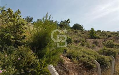 ÇANAKKALE AYVACIK NALDÖKENDE TURİZM İMARLI ARSA 17.702 M2