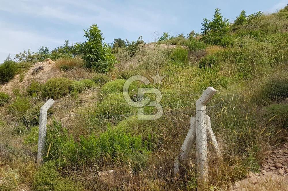 ÇANAKKALE AYVACIK NALDÖKENDE TURİZM İMARLI ARSA 17.702 M2