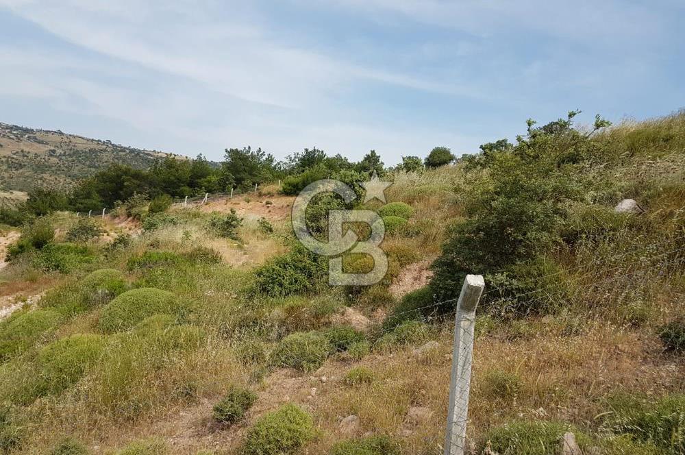 ÇANAKKALE AYVACIK NALDÖKENDE TURİZM İMARLI ARSA 17.702 M2