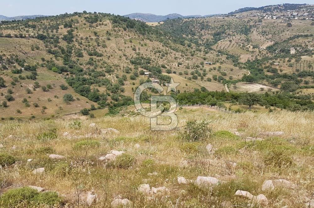 ÇANAKKALE AYVACIK NALDÖKENDE TURİZM İMARLI ARSA 17.702 M2