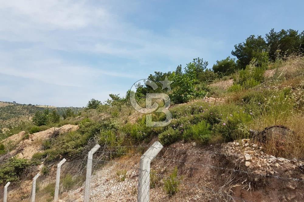 ÇANAKKALE AYVACIK NALDÖKENDE TURİZM İMARLI ARSA 17.702 M2