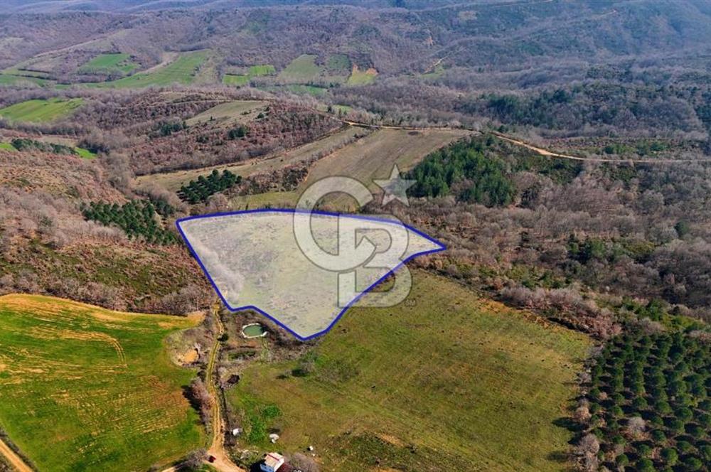 ÇANAKKALE BİGA HARMANLIK KÖYÜ 27.150 M2 SATILIK CEVİZLİK
