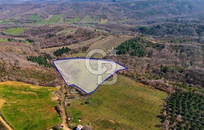 ÇANAKKALE BİGA HARMANLIK KÖYÜ 27.150 M2 SATILIK CEVİZLİK