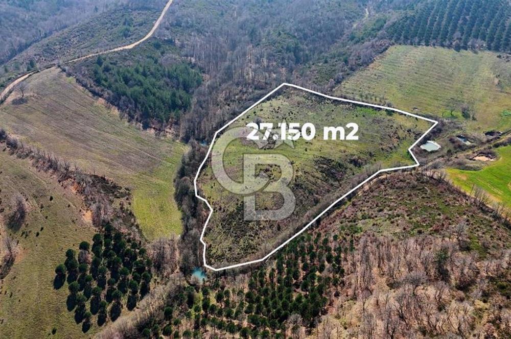 ÇANAKKALE BİGA HARMANLIK KÖYÜ 27.150 M2 SATILIK CEVİZLİK