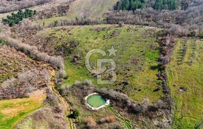 ÇANAKKALE BİGA HARMANLIK KÖYÜ 27.150 M2 SATILIK CEVİZLİK