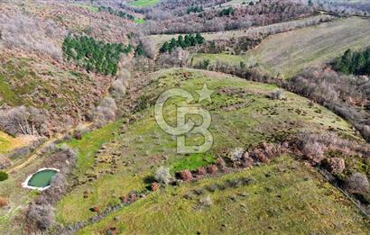 ÇANAKKALE BİGA HARMANLIK KÖYÜ 27.150 M2 SATILIK CEVİZLİK