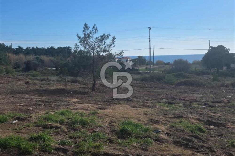 ÇANAKKALE BOZCAADA SULUBAHÇE KOYUNA YAKIN SATILIK TARLA