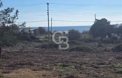 ÇANAKKALE BOZCAADA SULUBAHÇE KOYUNA YAKIN SATILIK TARLA