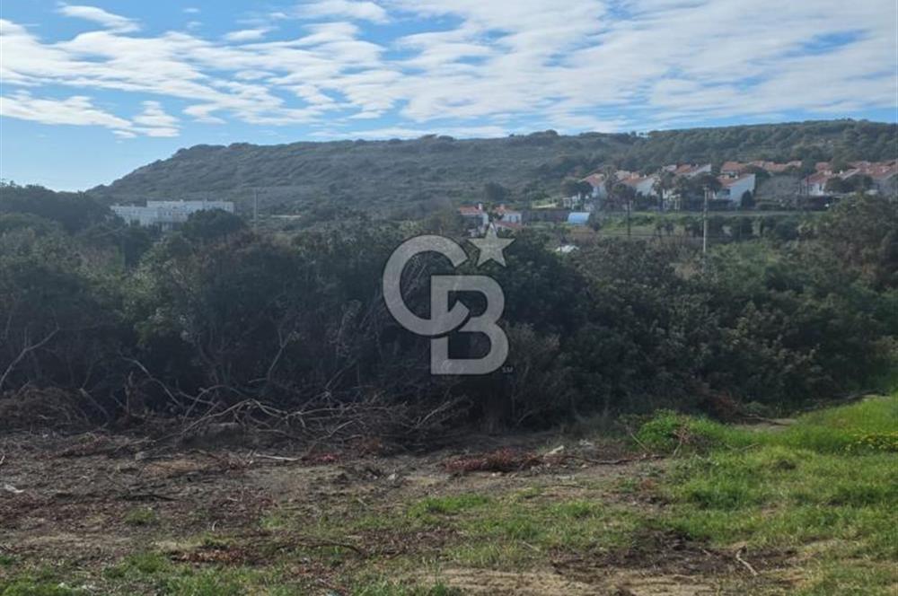 ÇANAKKALE BOZCAADA SULUBAHÇE KOYUNA YAKIN SATILIK TARLA