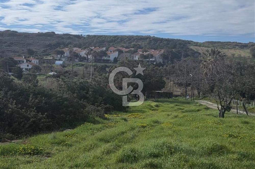 ÇANAKKALE BOZCAADA SULUBAHÇE KOYUNA YAKIN SATILIK TARLA