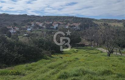 ÇANAKKALE BOZCAADA SULUBAHÇE KOYUNA YAKIN SATILIK TARLA