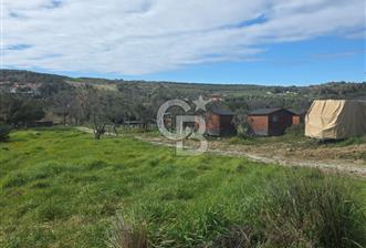 ÇANAKKALE BOZCAADA SULUBAHÇE KOYUNA YAKIN SATILIK TARLA - 7 - 341781