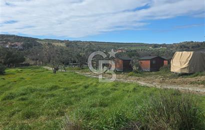 ÇANAKKALE BOZCAADA SULUBAHÇE KOYUNA YAKIN SATILIK TARLA